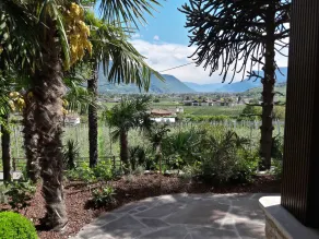 Ruster Resort - Vue de la chambre