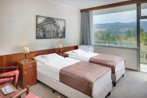 Ensana Splendid - Room