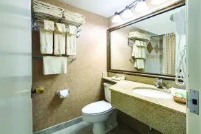 Arrowwood Resort Hotel and Conference Center - Alexandria - Salle de bain