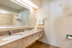 Quality Inn Southaven - Memphis South - Salle de bain