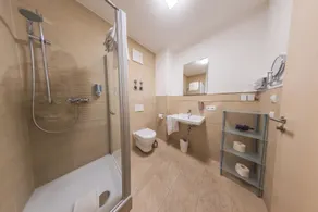 Hotel Freischütz - Bagno