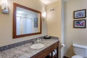 Comfort Inn & Suites Atoka-Millington - Salle de bain
