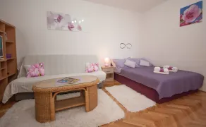 Studio Apartment Ema - Værelse