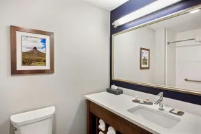 La Quinta by Wyndham Kingman - Salle de bain