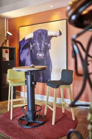 ibis Styles Bayonne Gare Centre - Réception