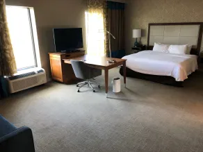 Hampton Inn & Suites Tampa Busch Gardens Area - Chambre