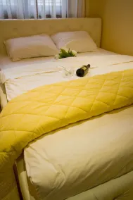 Vila Barović and Spa - Room