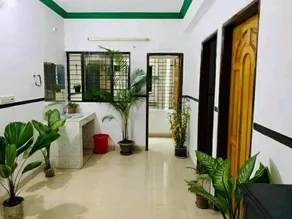 Green House - Room