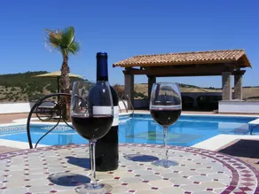 Hotel Sindhura - Piscine
