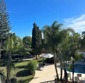 La Pina Verde - View from room