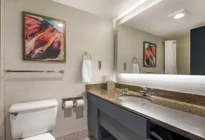 Best Western Brooklyn Center Hotel & Conference Center - Salle de bain