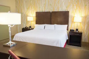 Hampton Inn & Suites Williamsport-Faxon Exit - Værelse