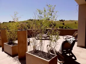 Agriturismo Le Piccole Macìe - Vue de la chambre