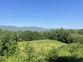 North Conway Mountain Inn - Chambre