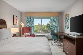Hilton Garden Inn Tampa North Busch Gardens - Chambre