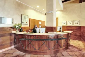 Sercotel Toledo Renacimiento - Réception