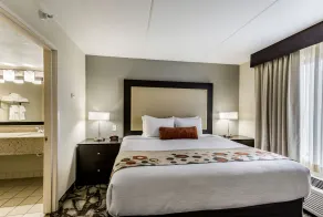 Holiday Inn Express & Suites Cedar Falls - Waterloo by IHG - Chambre