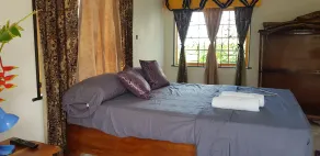Jamaica Villa Sweetsop & Tours - Vistas desde la habitación