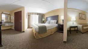 Holiday Inn Express Hotel & Suites Dallas Fort Worth Airport South by IHG - Rum