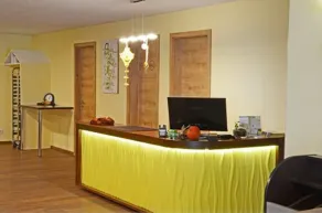 Günzburg City - Reception