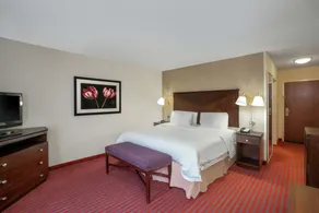 Hampton Inn Richmond Airport - Chambre