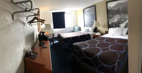 Super 8 by Wyndham Montgomery Maybrook - Chambre