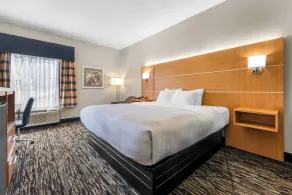 Quality Inn Alexander City - Habitación