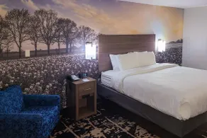 Clarion Pointe Bettendorf - Quad Cities - Chambre
