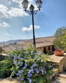 Agriturismo Sant'Agata - Udsigt fra værelset