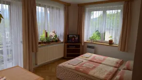 Privat Apartma Ulrych - Room