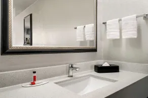 Crystal Inn Northeast Houston Downtown I-610 - Baño