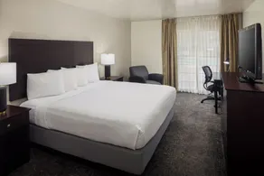 Wyndham Tucson Airport Hotel & Conference Center - Chambre