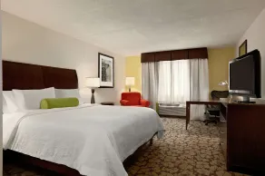 Hilton Garden Inn Rochester/Pittsford - Chambre