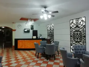 Hotel Los Girasoles - Réception