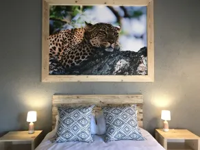 Lindiwe Safari Lodge - Værelse