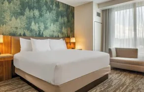 Drury Plaza Hotel Nashville Southeast Century Farms - Room