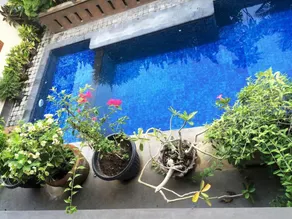 Waringin Homestay - Pool