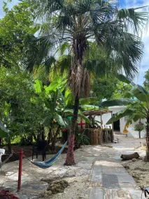 Inez Roots Hostel - Facciata della struttura