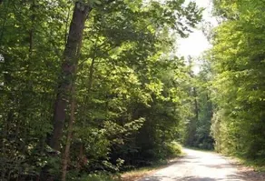 St. Clair Camping Resort - Caminhada