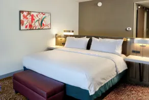 Hilton Garden Inn Bel Air - Chambre