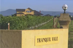 Tranquil Vale Vineyard - Hall