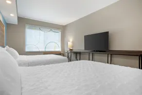 Tru by Hilton Auburn - Habitación