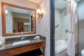 Wyndham Garden New Orleans Downtown - Baño
