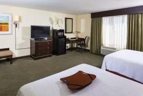 Hampton Inn & Suites Las Vegas South - Chambre