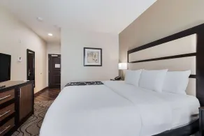 La Quinta by Wyndham Auburn - Chambre