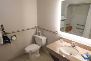 Holiday Inn Express Hotel & Suites Elkhart-South by IHG - Chambre