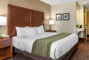 Comfort Inn Okemos - East Lansing - Chambre