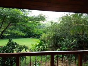 Rancho de Lelo Ecolodge - View from room