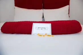 Hôtel Le Stanislas - Room