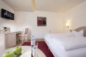 Hotel Maximilian - Room